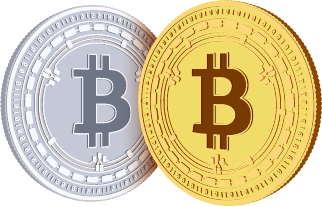 custodia sicura bitcoin